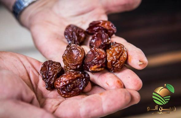 فروشگاه آلو بخارا تیزابی آفتابی